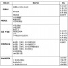 网络工程师全科班课程