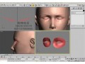 3D软件学习视频 (120播放)