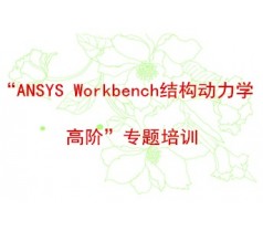 “ANSYS Workbench结构动力学高阶”专题培训