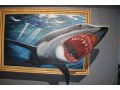 鲨鱼-3D错觉艺术手绘 (133播放)