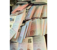 东城东四保育员培训网络课程学习并赠送模拟题库