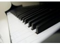 德国赛乐尔钢琴 (234播放)