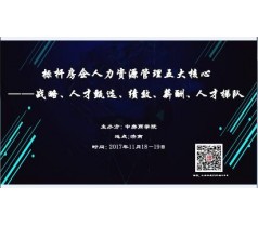 标杆房企人力资源管理五大核心战略人才甄选绩效薪酬人才梯队