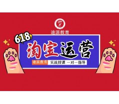 新手开店运营班大连迪派一对一店铺诊断开店培训