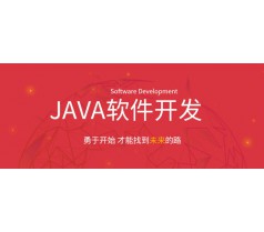 Java软件开发