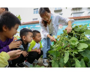 “开心农场”丰收了