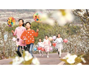 踏青赏花享春光